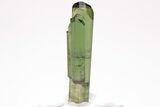 Gemmy, Sharply Terminated Green Tourmaline Crystal - Brazil #206254-2